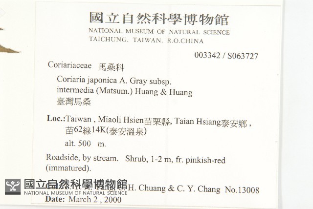 臺灣馬桑藏品圖，第2張