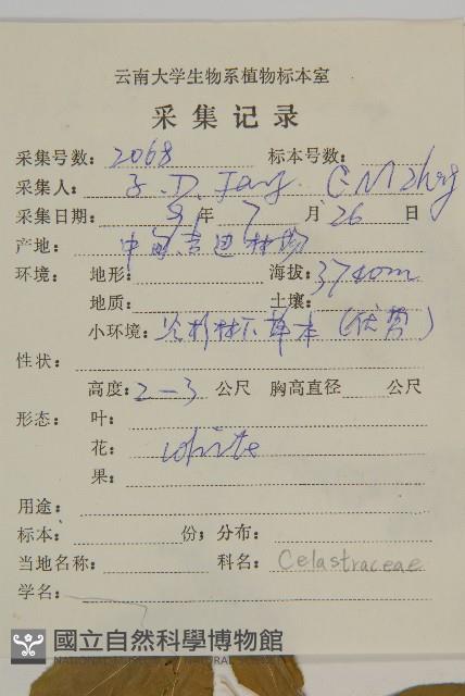 絨楚丘生衛矛藏品圖，第2張