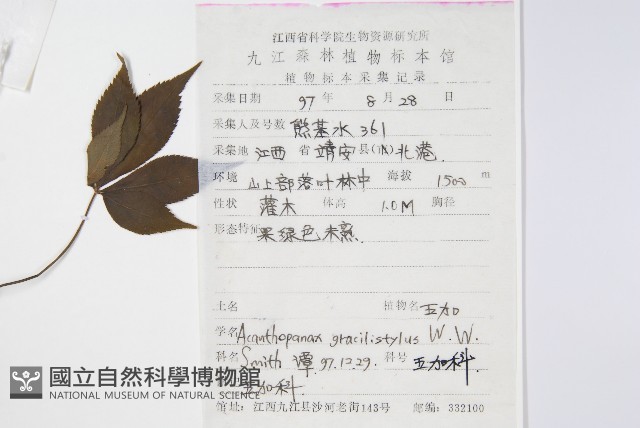 五加藏品圖，第2張