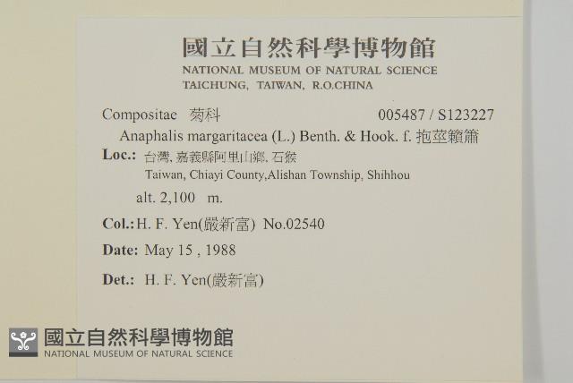 抱莖籟簫藏品圖，第2張