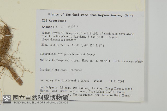 登錄號:S106427藏品圖，第2張