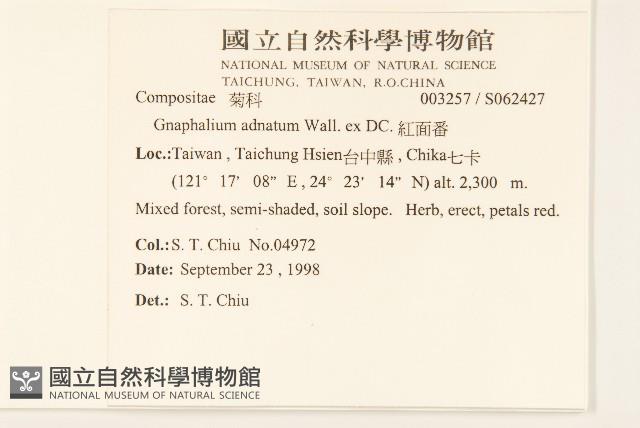 紅面番藏品圖，第2張