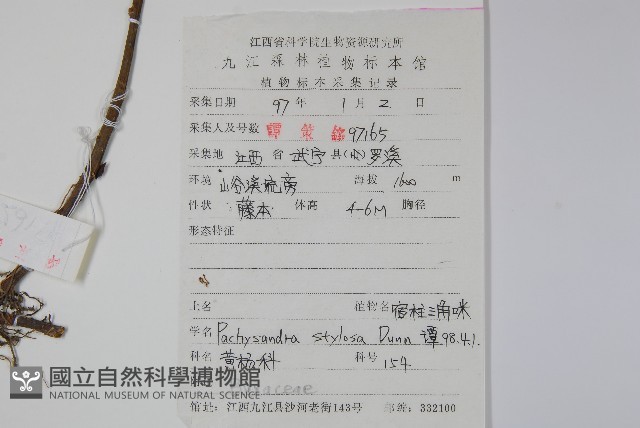 宿柱三角咪藏品圖，第2張