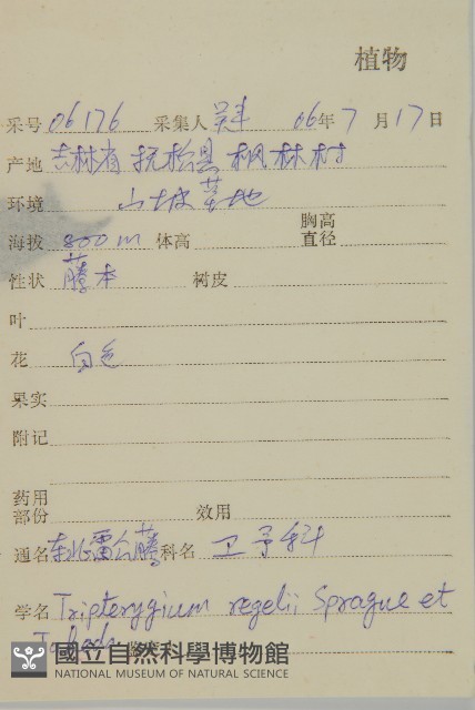 東北雷公藤藏品圖，第2張