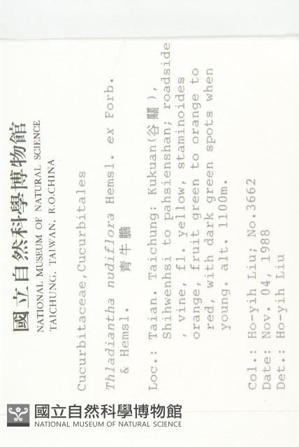 青牛膽藏品圖，第2張