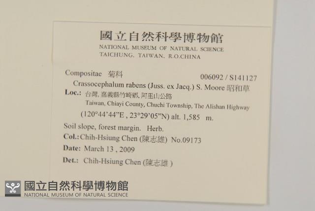 昭和草藏品圖，第2張