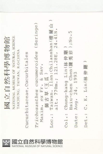 王瓜藏品圖，第2張