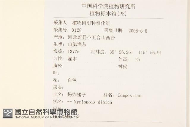 螞蚱腿子藏品圖，第2張