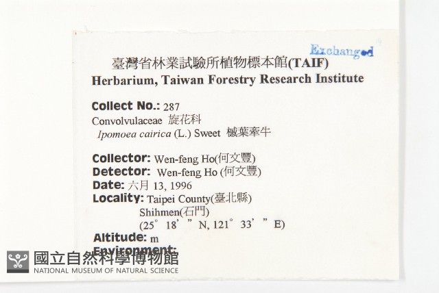 番仔藤藏品圖，第2張