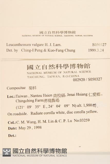 法國菊藏品圖，第2張