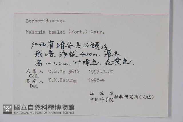 闊葉十大功勞藏品圖，第2張