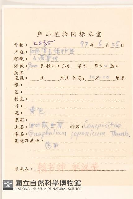 父子草、天青地白藏品圖，第2張