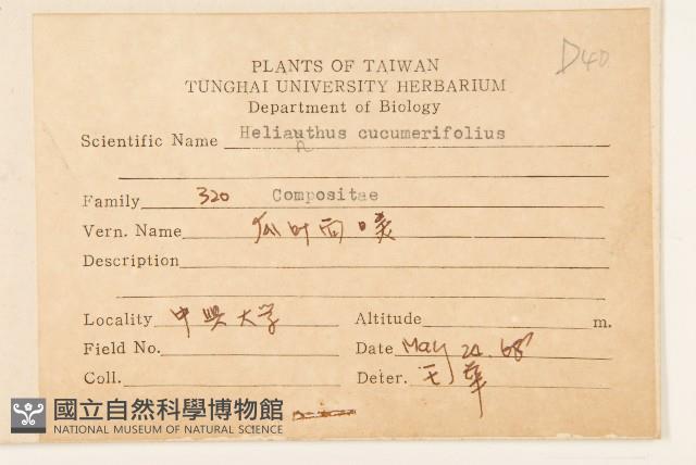 小向日葵藏品圖，第2張