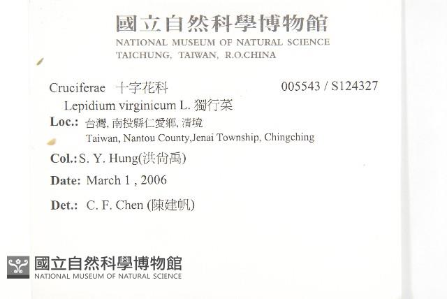 獨行菜藏品圖，第2張