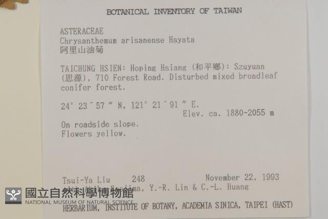 阿里山油菊藏品圖，第2張