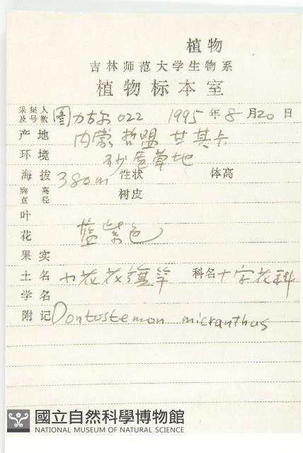 小花花旗竿藏品圖，第2張