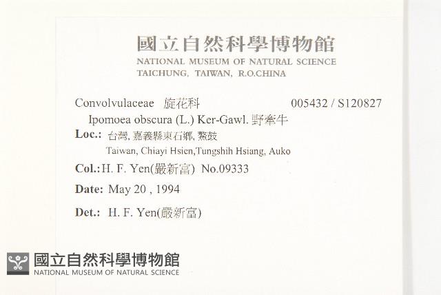 野牽牛藏品圖，第2張