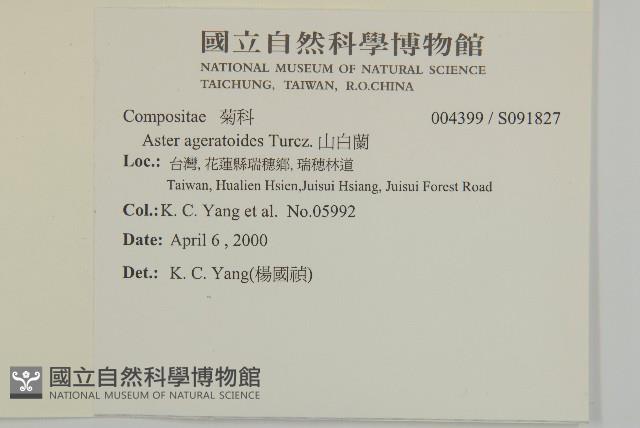 山白蘭藏品圖，第2張