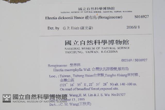 破布烏藏品圖，第2張