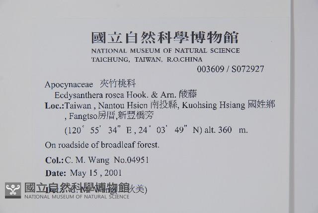 酸藤藏品圖，第2張