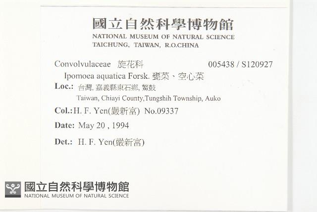 甕菜、空心菜藏品圖，第2張