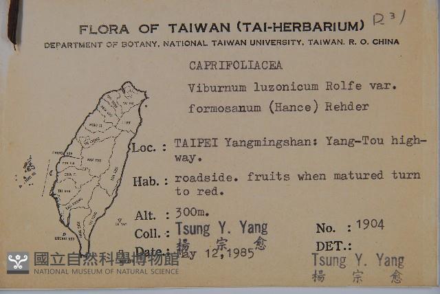 紅子莢迷藏品圖，第2張