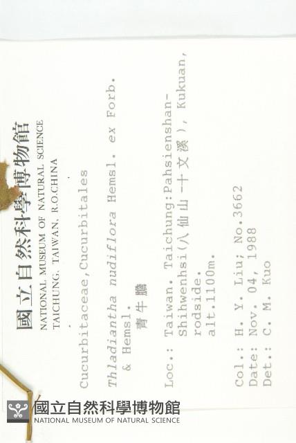 青牛膽藏品圖，第2張