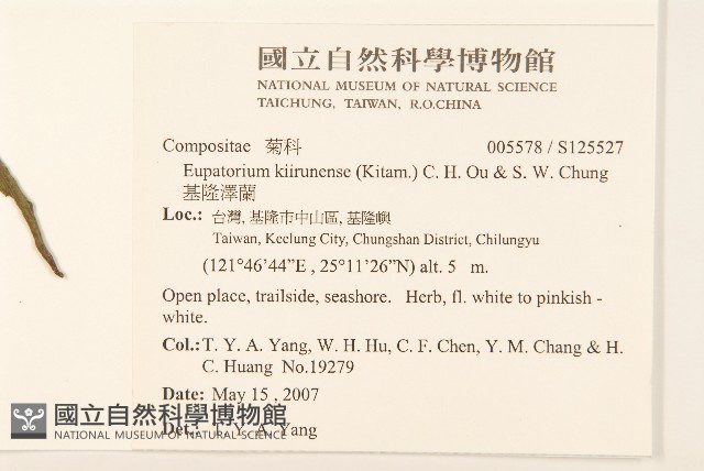 基隆澤蘭藏品圖，第2張
