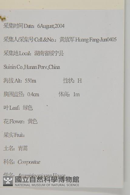 青蒿藏品圖，第2張