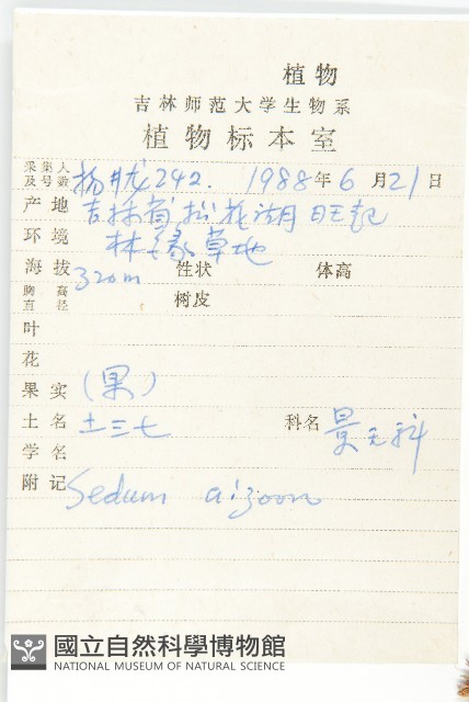 費菜藏品圖，第2張