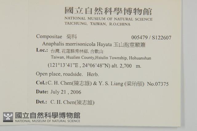 玉山抱莖籟簫藏品圖，第2張