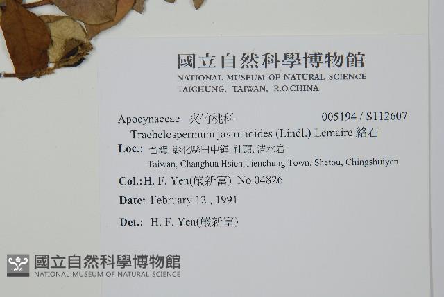 絡石藏品圖，第2張