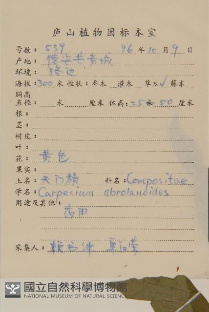 天名精藏品圖，第2張