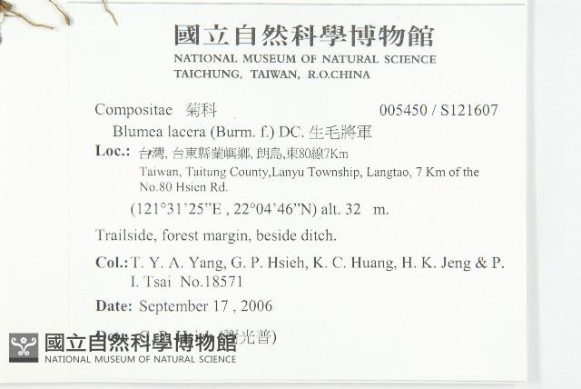 生毛將軍藏品圖，第2張