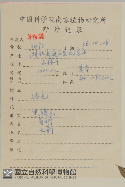 小薊藏品圖，第2張