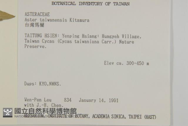 臺灣馬蘭藏品圖，第2張