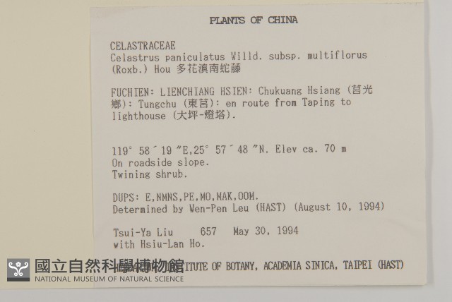 多花滇南蛇藤藏品圖，第2張