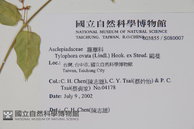 鷗蔓藏品圖，第2張