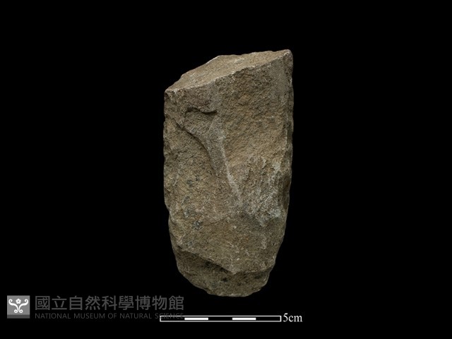 斧鋤形器藏品圖，第2張