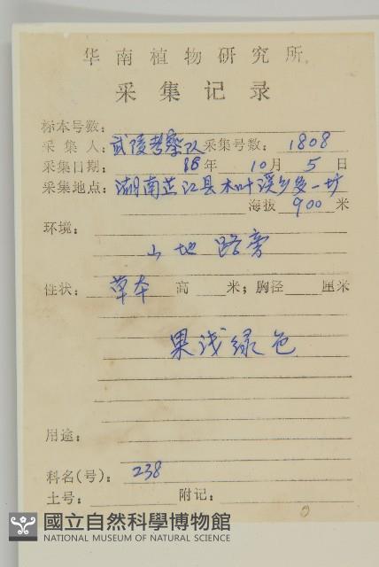 黃花蒿藏品圖，第2張