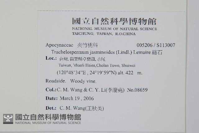 絡石藏品圖，第2張