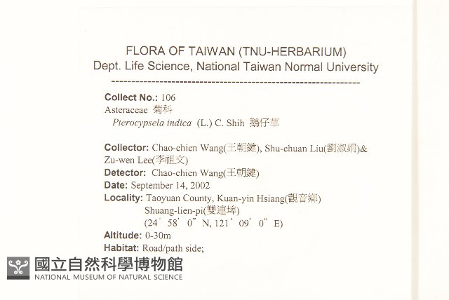鵝仔草藏品圖，第2張