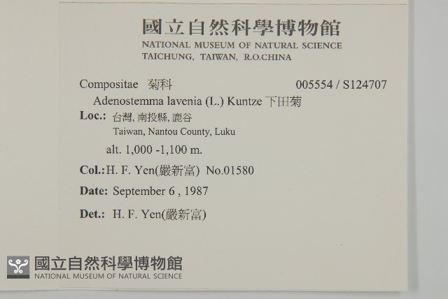 下田菊藏品圖，第2張