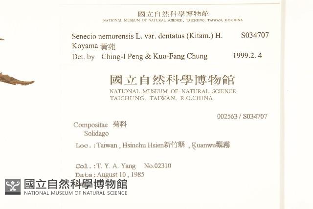 黃菀藏品圖，第2張