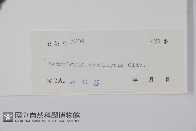 華蘿藦、奶漿藤藏品圖，第2張