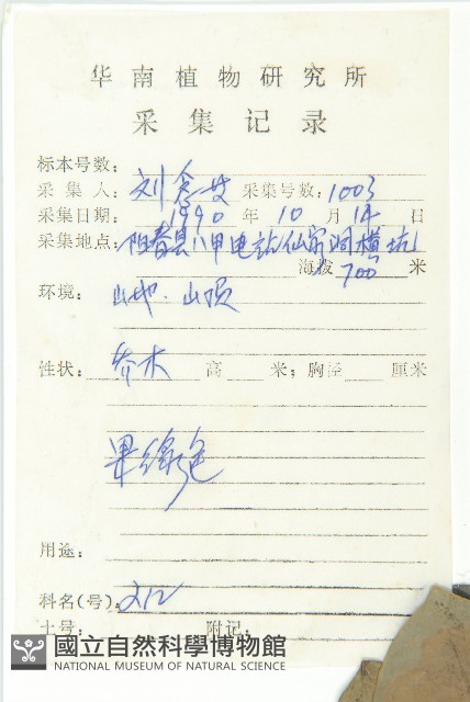 馬蹄參藏品圖，第2張