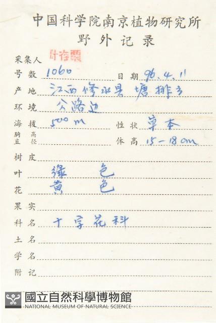 廣東葶藶藏品圖，第2張