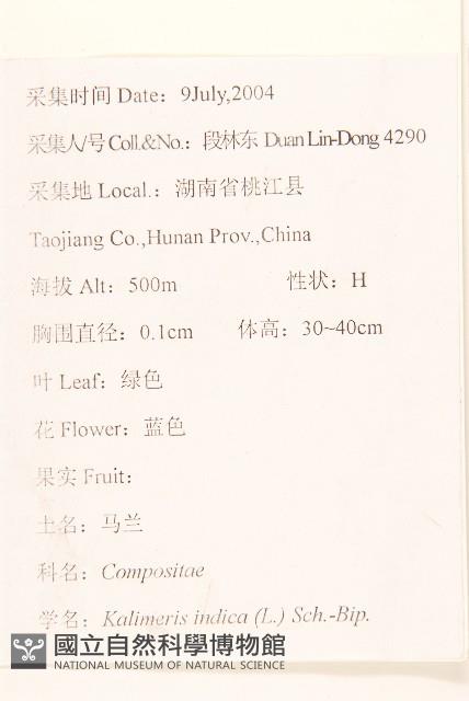 雞兒腸藏品圖，第2張