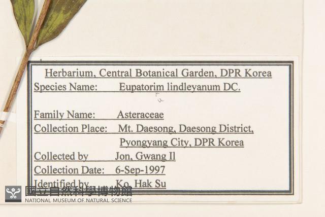 林氏澤蘭藏品圖，第2張