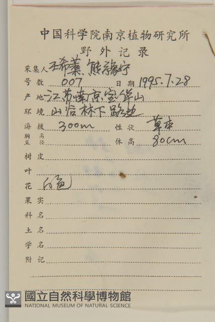 珍珠蒿、奇蒿藏品圖，第2張